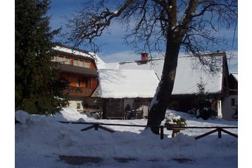 Частен дом Studor 9